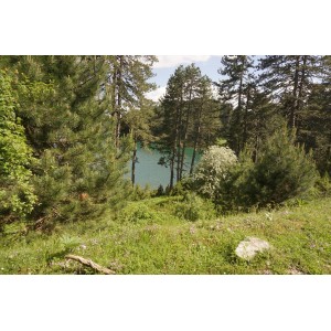 Около планининските национални паркове на Гърция с колело, каяк и рафт.