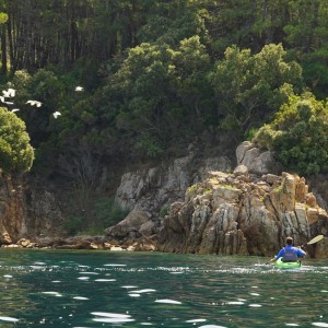 С каяк около полуостров Бростомница, Халкидики, Гърция С каяк около полуостров Бростомница, Халкидики, Гърция