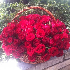 Класическа и страстна