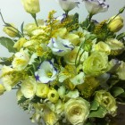 Нежна феерия