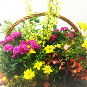 Сезонна кошница