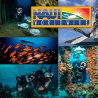 Водолазен курс за начинаещи в басейн Водолазен курс за начинаещи в басейн