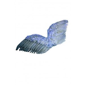 Крила естествен пух