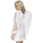 Крила Ангел 