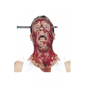 Пирон през глава 