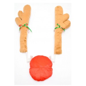 Коледна украса за кола Коледна украса за кола