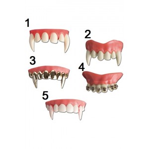 Зъби горни, 5 модела Зъби горни, 5 модела