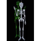 Скелет фосфор Скелет фосфор