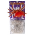 Паяжина с цветен паяк Паяжина с цветен паяк