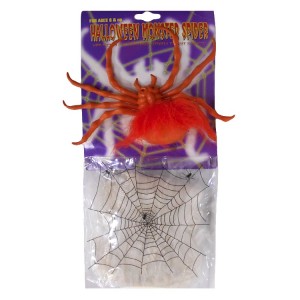 Паяжина с цветен паяк