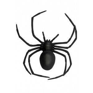 Паяк черен