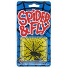 Паяк с муха Паяк с муха