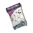 Паяжина с паяци Паяжина с паяци