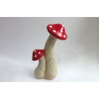 Червена мухоморка Червена мухоморка