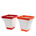 Саксия  трапец