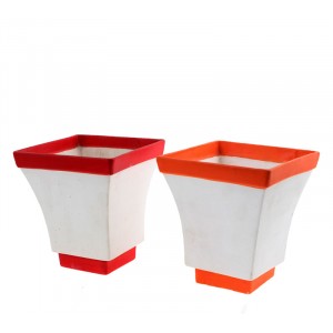 Саксия  трапец