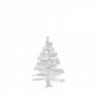 Елха бяла-супер колорадо, 45 см