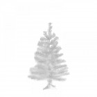 Елха бяла-супер колорадо, 60 см.