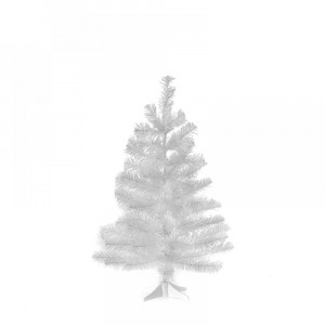Елха бяла-супер колорадо, 60 см.