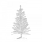 Елха бяла-супер колорадо, 90 см.