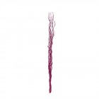 Пръчки плет,циклама,1,2х6