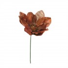  Магнолия мед 10Х20CM