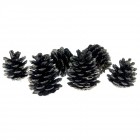 Шишарки позлатени,к-т от 6 бр,9CM