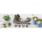 Картина градина,шишарки,30X90cm