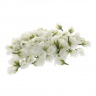 Цветчета бели,к-т от 100бр,1/120