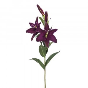 Лилиум стрък 90CM.