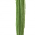 Газа петролено,1,5Х5 М