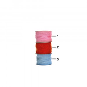 Панделка органза,5Х15М