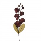 Орхидея Бордо, 102cm