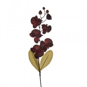 Орхидея Бордо, 102cm