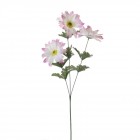 Стрък 3 маргарити розови