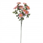 Стрък рози розови