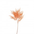 Коледна клонка оранж, 70 см