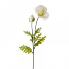 Стрък макове бели 72CM.