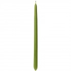 Свещ конус, тъмно зелена