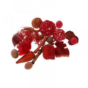 Микс сухи елементи за аранжировка, червени, в PVC кутия, 13х13х6.5 см