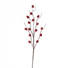  Клон от червени шипки