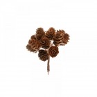 Сноп 12 естествени шишарки Сноп 12 естествени шишарки