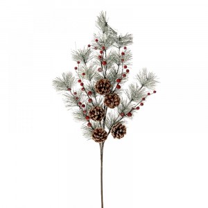 Елхова клонка с шишарки