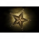 Колвдна светеща звезда, LED, топло-бяла, 22 см