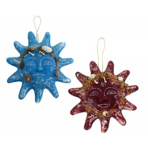 Слънца мах Море, 18см.