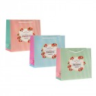 Плик х-я Present for you, 3 модела, 20Х20Х8СМ