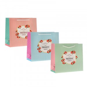 Плик х-я Present for you, 3 модела, 20Х20Х8СМ
