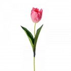 Стрък лалета  42CM