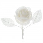 Роза, зебло, бяла, 11 см