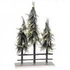 Коледни елхи заснежени с LED светлина, 36х60 см